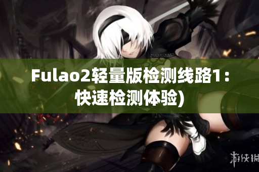 Fulao2轻量版检测线路1：快速检测体验)