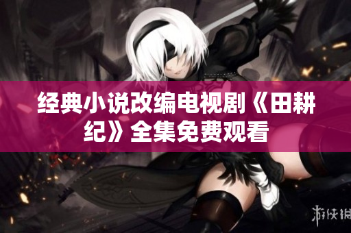 经典小说改编电视剧《田耕纪》全集免费观看