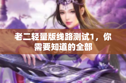 老二轻量版线路测试1，你需要知道的全部