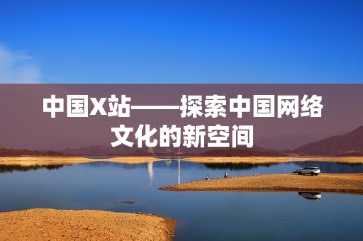 中国X站——探索中国网络文化的新空间