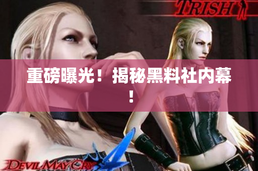 重磅曝光！揭秘黑料社内幕！