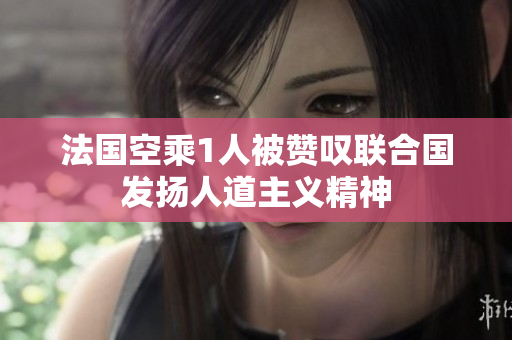 法国空乘1人被赞叹联合国发扬人道主义精神