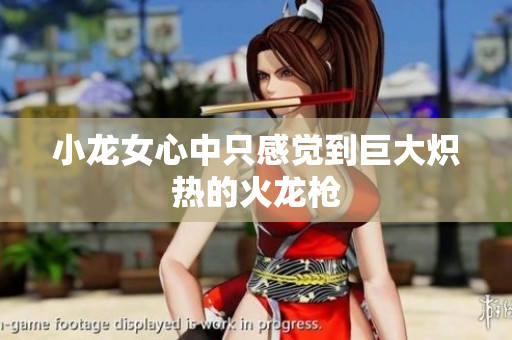 小龙女心中只感觉到巨大炽热的火龙枪