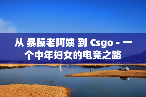 从 暴躁老阿姨 到 Csgo - 一个中年妇女的电竞之路