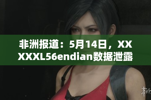 非洲报道：5月14日，XXXXXL56endian数据泄露事件详细情况