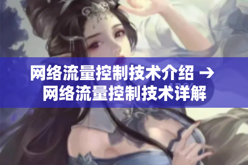 网络流量控制技术介绍 → 网络流量控制技术详解