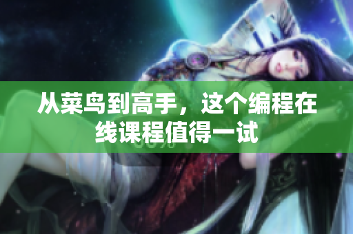 从菜鸟到高手，这个编程在线课程值得一试