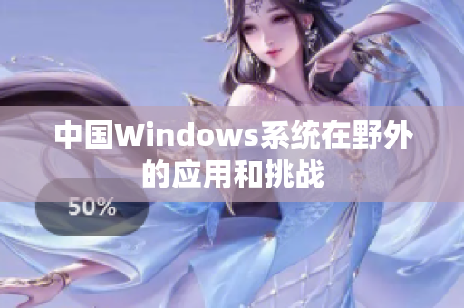 中国Windows系统在野外的应用和挑战