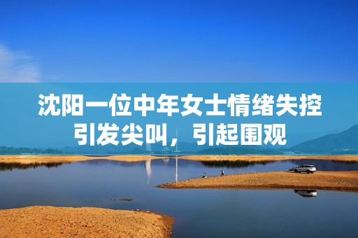 沈阳一位中年女士情绪失控引发尖叫，引起围观