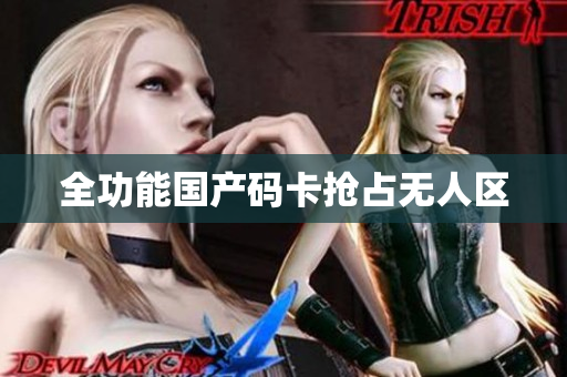 全功能国产码卡抢占无人区