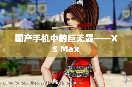 国产手机中的巨无霸——XS Max