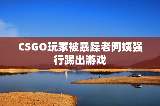 CSGO玩家被暴躁老阿姨强行踢出游戏