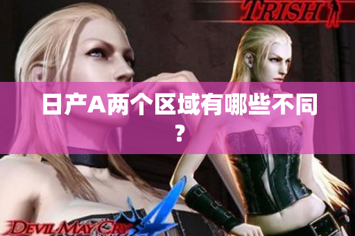 日产A两个区域有哪些不同？