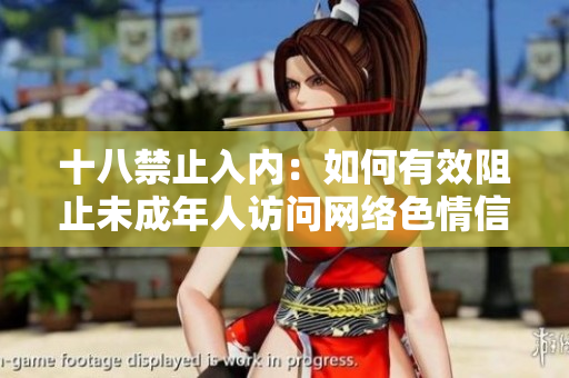 十八禁止入内：如何有效阻止未成年人访问网络色情信息？