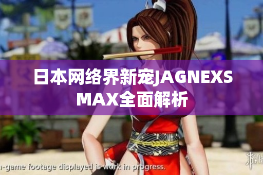 日本网络界新宠JAGNEXSMAX全面解析