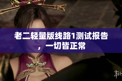 老二轻量版线路1测试报告，一切皆正常