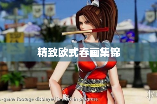 精致欧式春画集锦