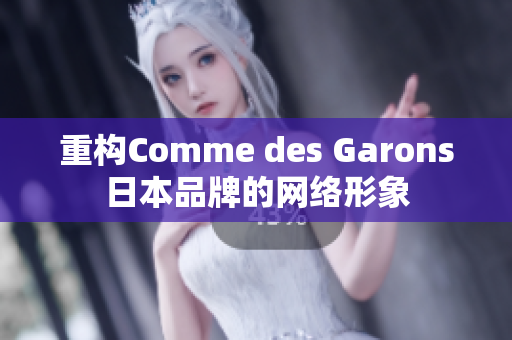 重构Comme des Garons日本品牌的网络形象