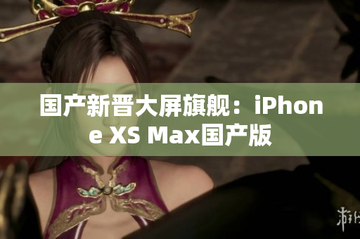 国产新晋大屏旗舰：iPhone XS Max国产版