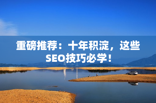 重磅推荐：十年积淀，这些SEO技巧必学！