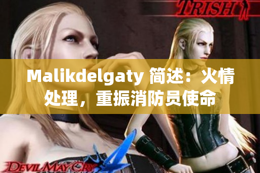 Malikdelgaty 简述：火情处理，重振消防员使命