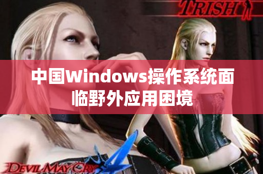 中国Windows操作系统面临野外应用困境