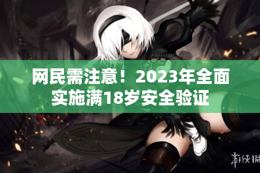网民需注意！2023年全面实施满18岁安全验证