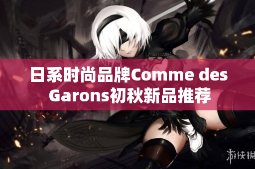 日系时尚品牌Comme des Garons初秋新品推荐