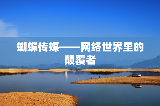 蝴蝶传媒——网络世界里的颠覆者