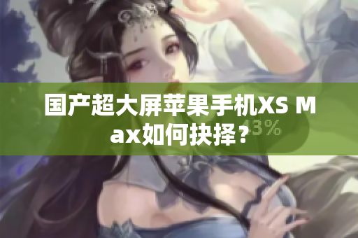 国产超大屏苹果手机XS Max如何抉择？