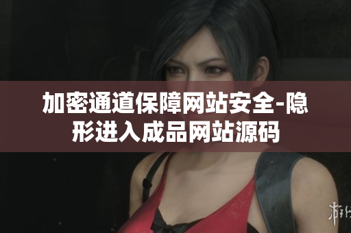 加密通道保障网站安全-隐形进入成品网站源码