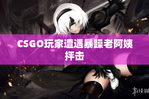 CSGO玩家遭遇暴躁老阿姨抨击