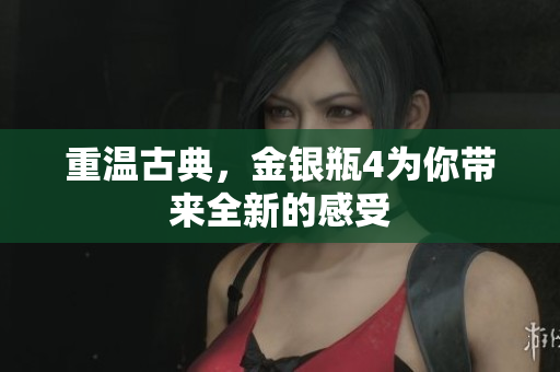 重温古典，金银瓶4为你带来全新的感受