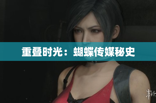 重叠时光：蝴蝶传媒秘史
