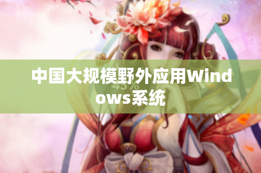 中国大规模野外应用Windows系统