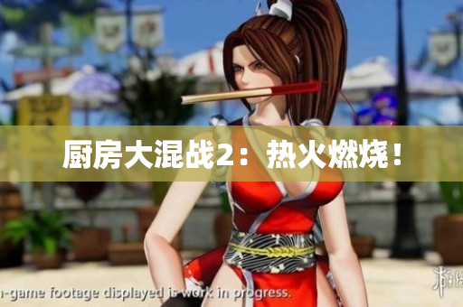 厨房大混战2：热火燃烧！