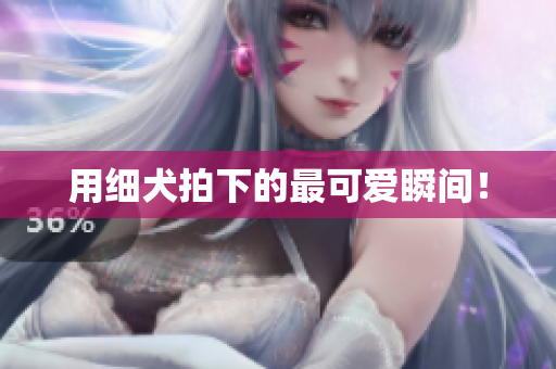 用细犬拍下的最可爱瞬间！