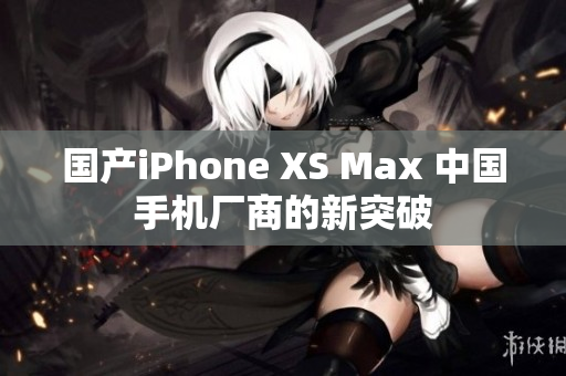 国产iPhone XS Max 中国手机厂商的新突破