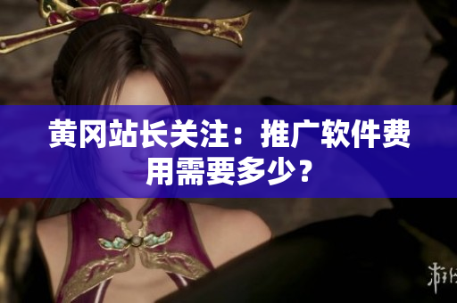 黄冈站长关注：推广软件费用需要多少？