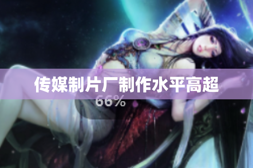 传媒制片厂制作水平高超