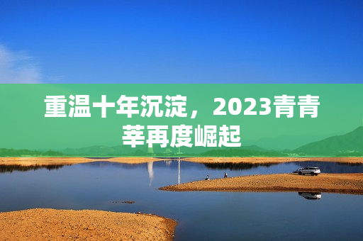 重温十年沉淀，2023青青莘再度崛起