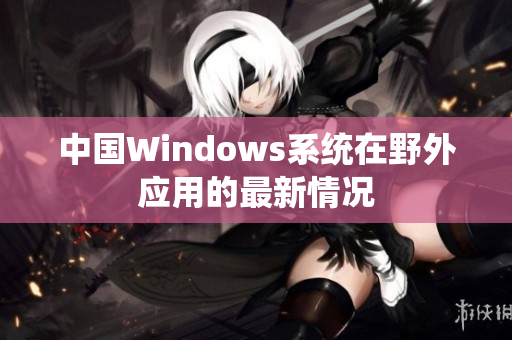 中国Windows系统在野外应用的最新情况